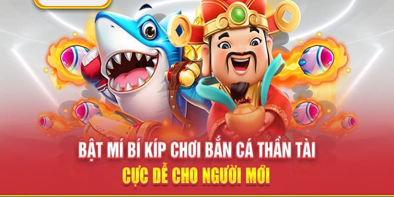 Chiến thuật săn cá ôm thưởng lớn