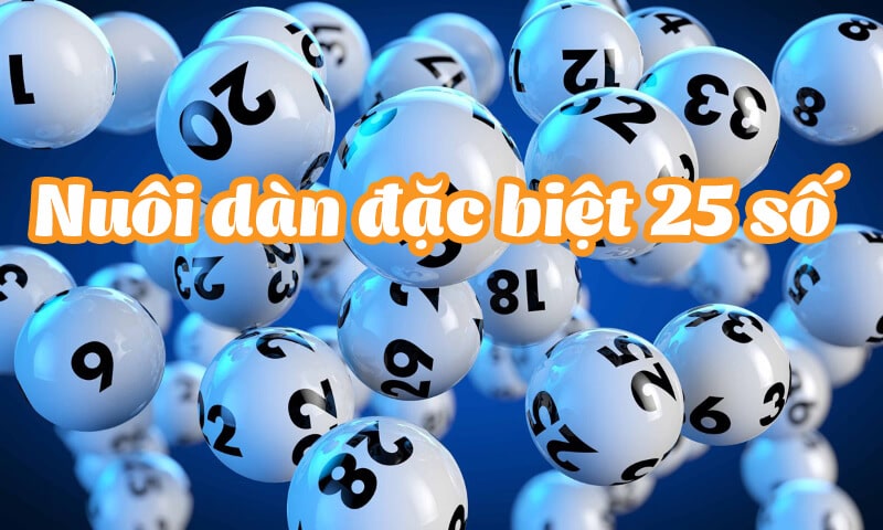 Theo các cao thủ trong lĩnh vực này lựa chọn dàn đề 25 số khung 3 ngày có độ an toàn cao