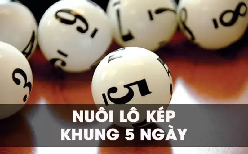 Những cách nuôi lô cặp khung 5 ngày phổ biến