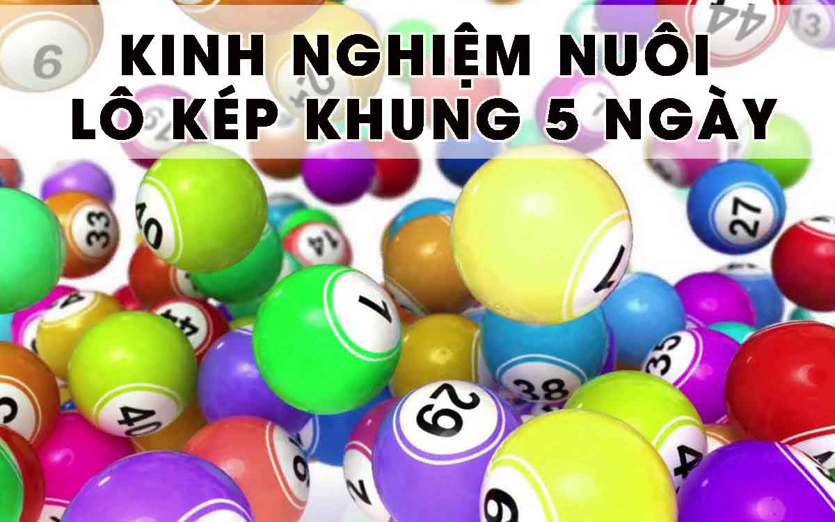 Giới thiệu về nuôi lô cặp 5 ngày