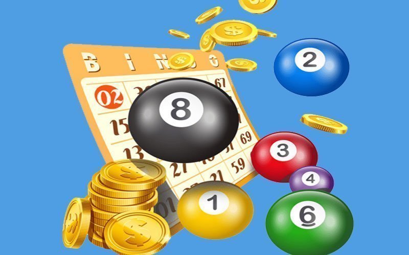 Một số lưu ý trong cách nuôi lô 5 ngày