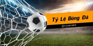 Các Tỷ Lệ Kèo Bóng Đá Trực Tuyến VN666 Phổ biến