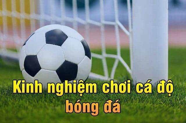 Cách Soi Kèo Bóng Đá VN666 Không Thua