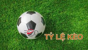 Tỷ Lệ Kèo Bóng Đá VN666 – Hướng Dẫn Đặt Cược Thông Minh Về Bờ An Toàn
