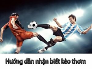 Top 5 kinh nghiệm soi kèo bóng đá giúp tăng tỷ lệ thắng tại VN666