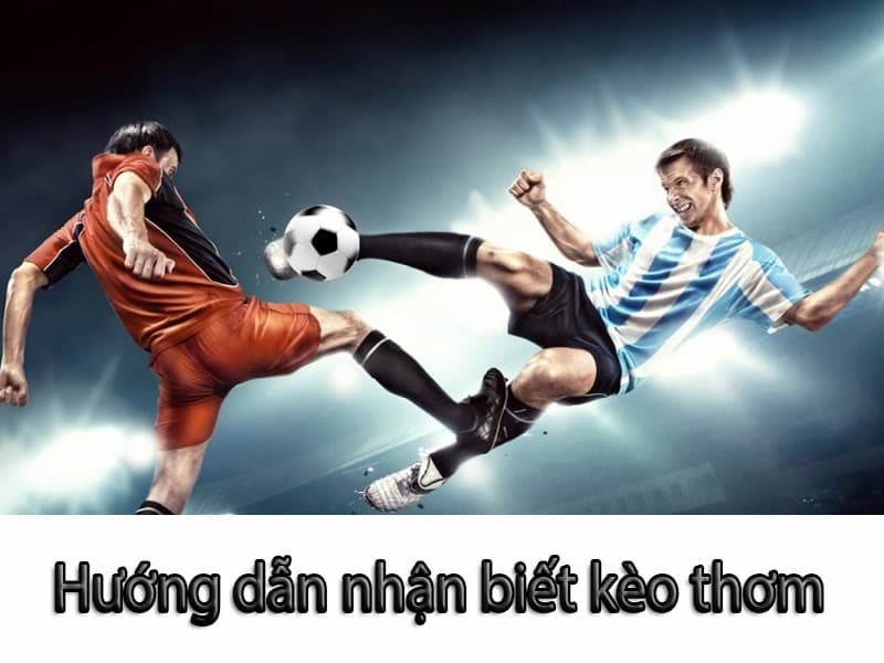 Top 5 kinh nghiệm soi kèo bóng đá giúp tăng tỷ lệ thắng tại VN666
