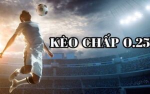 Hướng Dẫn Đọc Kèo 0.25 Tại VN666 Chi Tiết