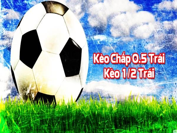 Cách Đọc Kèo Chấp 0.5 VN666 Chuẩn Nhất