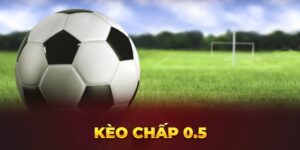 Kinh Nghiệm Khi Đánh Kèo Chấp 0.5 Chính Xác Nhất