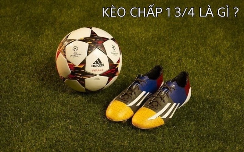 Cách Đọc Kèo Chấp 1.75 VN666 Chuẩn Xác