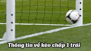 Tất Tần Tật Về Kèo Chấp 1 Trái VN666 - Lưu Ý Khi Đặt Cược