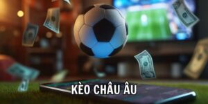 Những lưu ý khi đọc Kèo Châu Âu VN666
