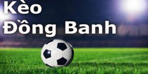 Giải Thích Các Thuật Ngữ Trong Kèo Chấp Đồng Banh