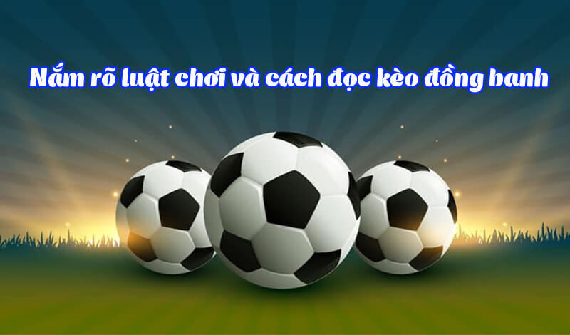 Những Yếu Tố Cần Xem Xét Khi Bắt Kèo Kèo Đồng Banh VN666