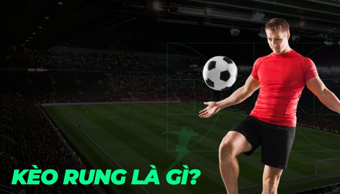 Bí Quyết Đánh Kèo Rung VN666 Hiệu Quả Cho Người Mới
